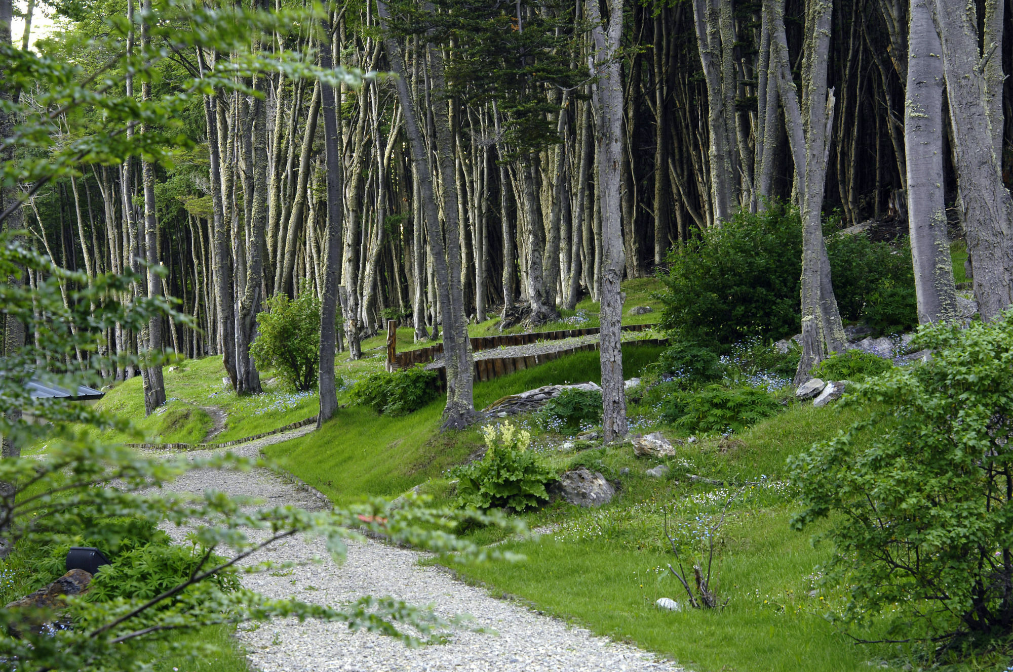 Las Hayas Ushuaia Resort Екстер'єр фото